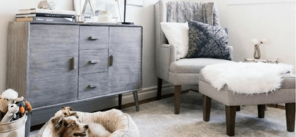 How to Create a Beautiful, Cozy, Pet Friendly Space